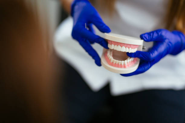 Best Traditional Braces  in Sauk Vlage, IL